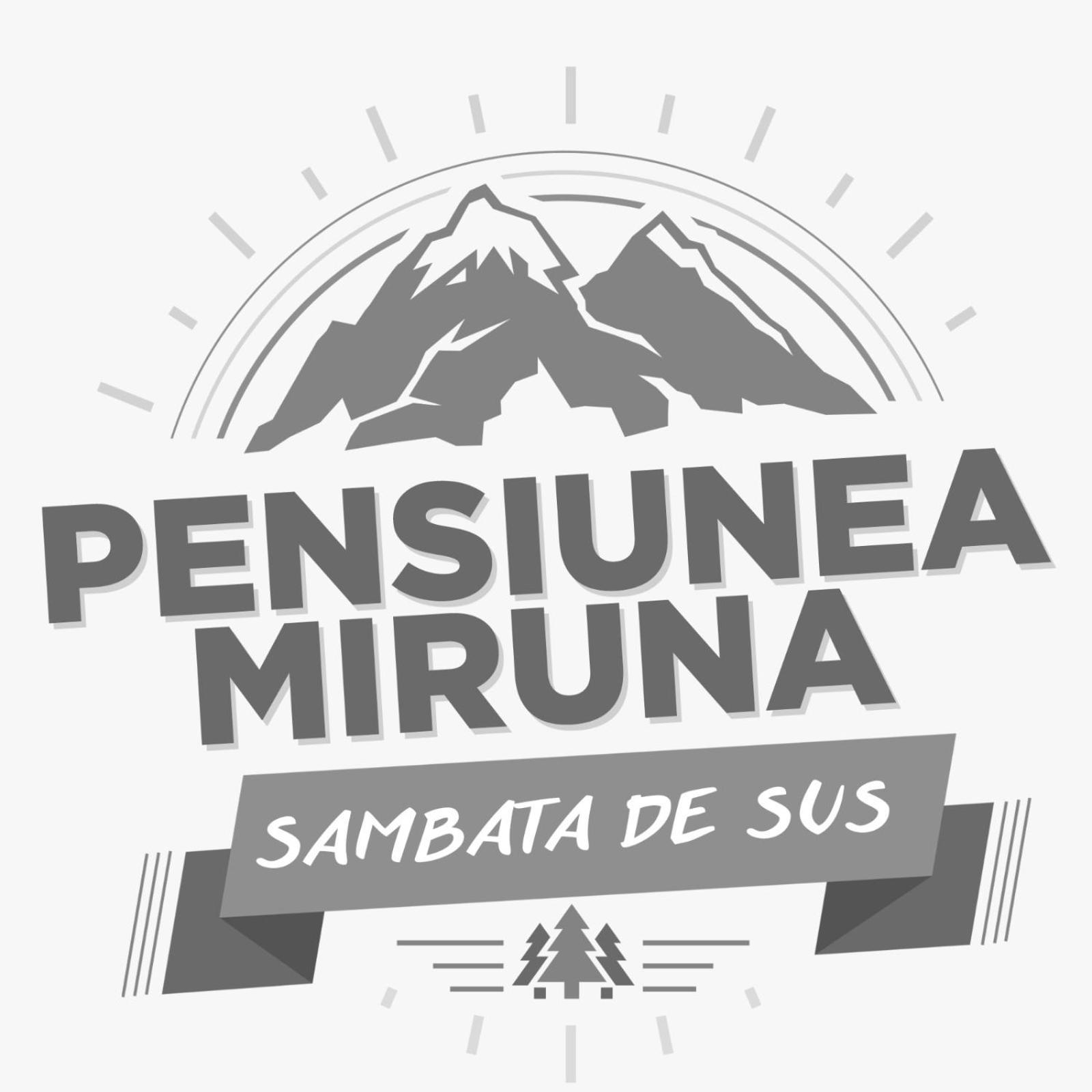 Hotel Miruna Sîmbăta de Sus 外观 照片